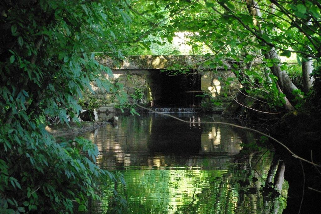 Вілла Moulin De Coupigny Fontenille-Saint-Martin-d'Entraigues Номер фото