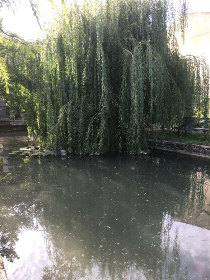 Вілла Moulin De Coupigny Fontenille-Saint-Martin-d'Entraigues Екстер'єр фото